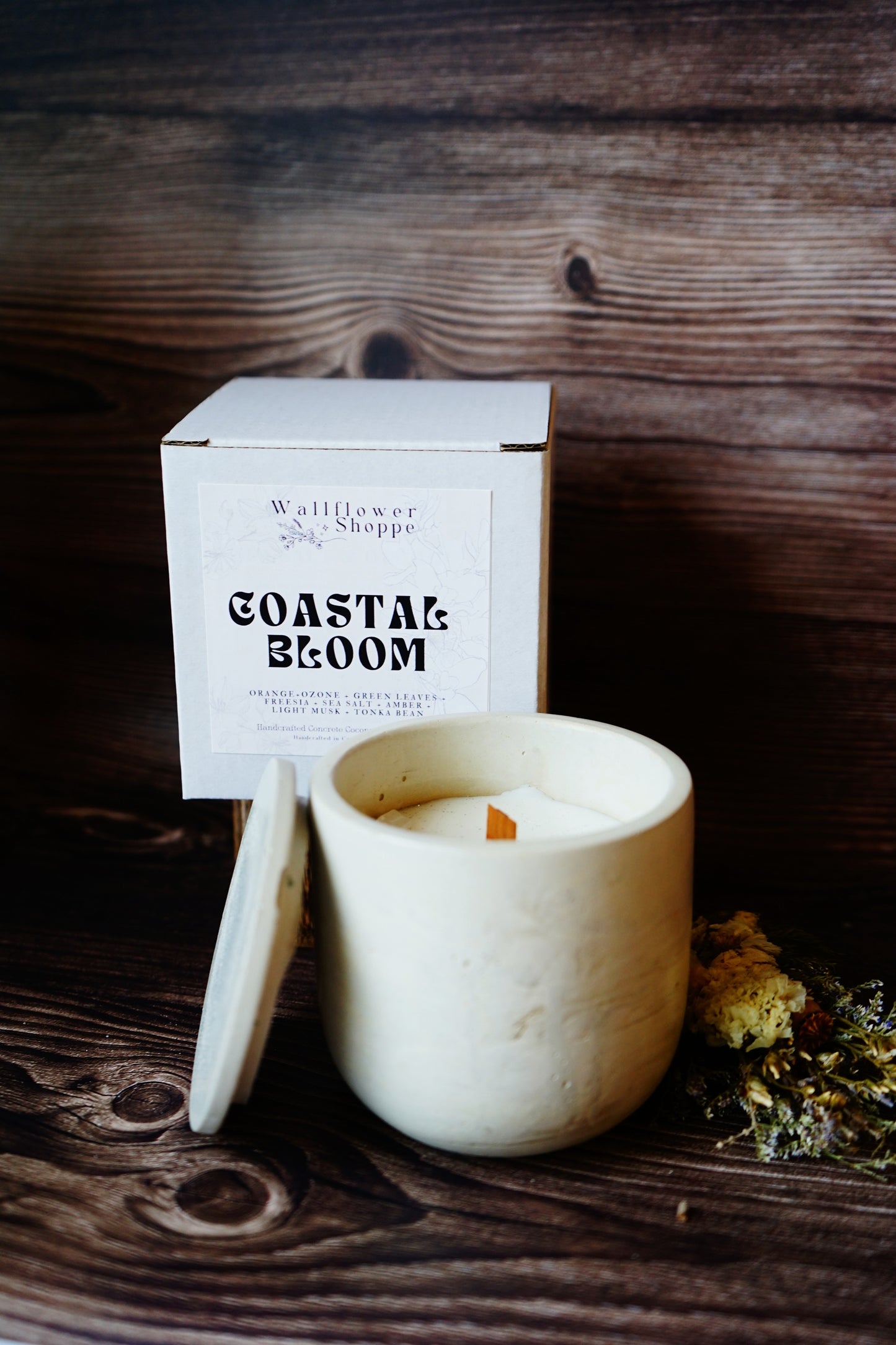 Coastal Bloom (was Sea Salt & Orchid )