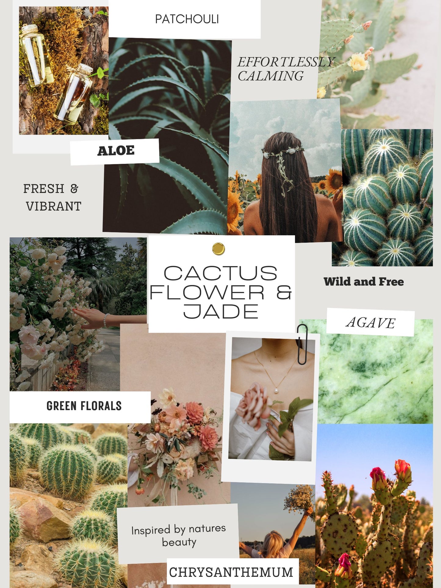 Cactus Flower & Jade