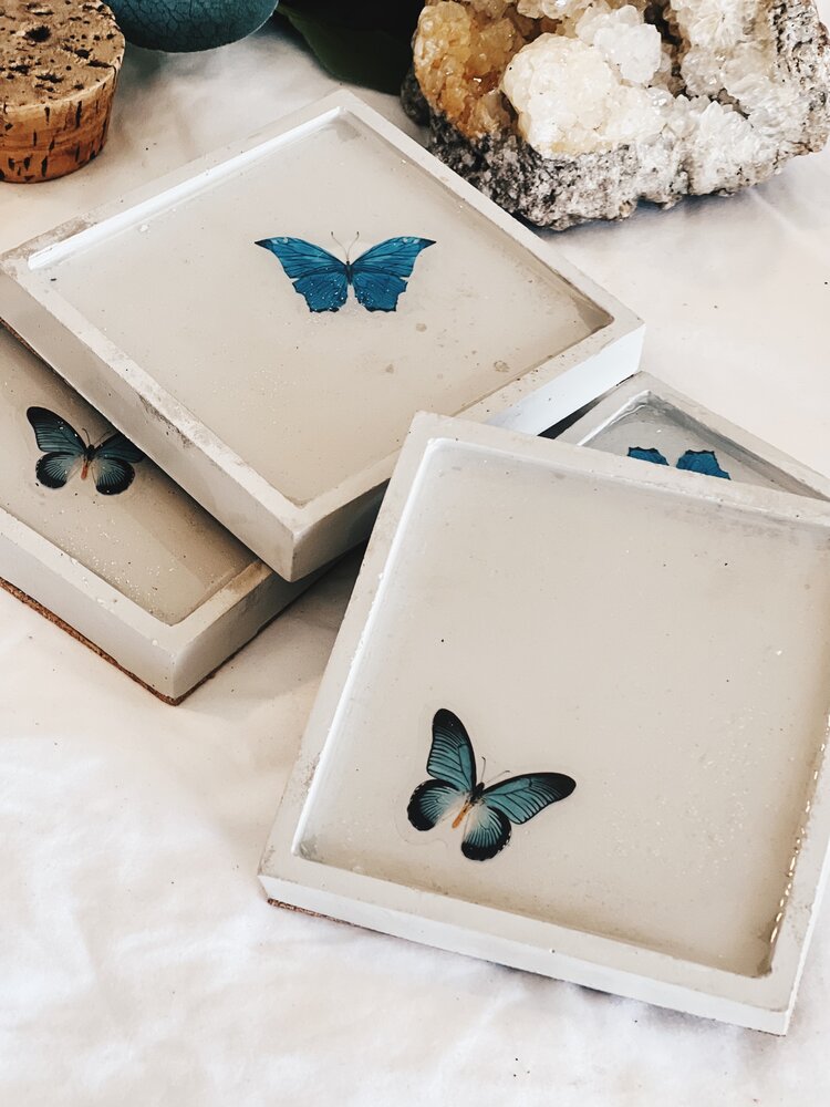 Butterfly/Dragonfly Coasters