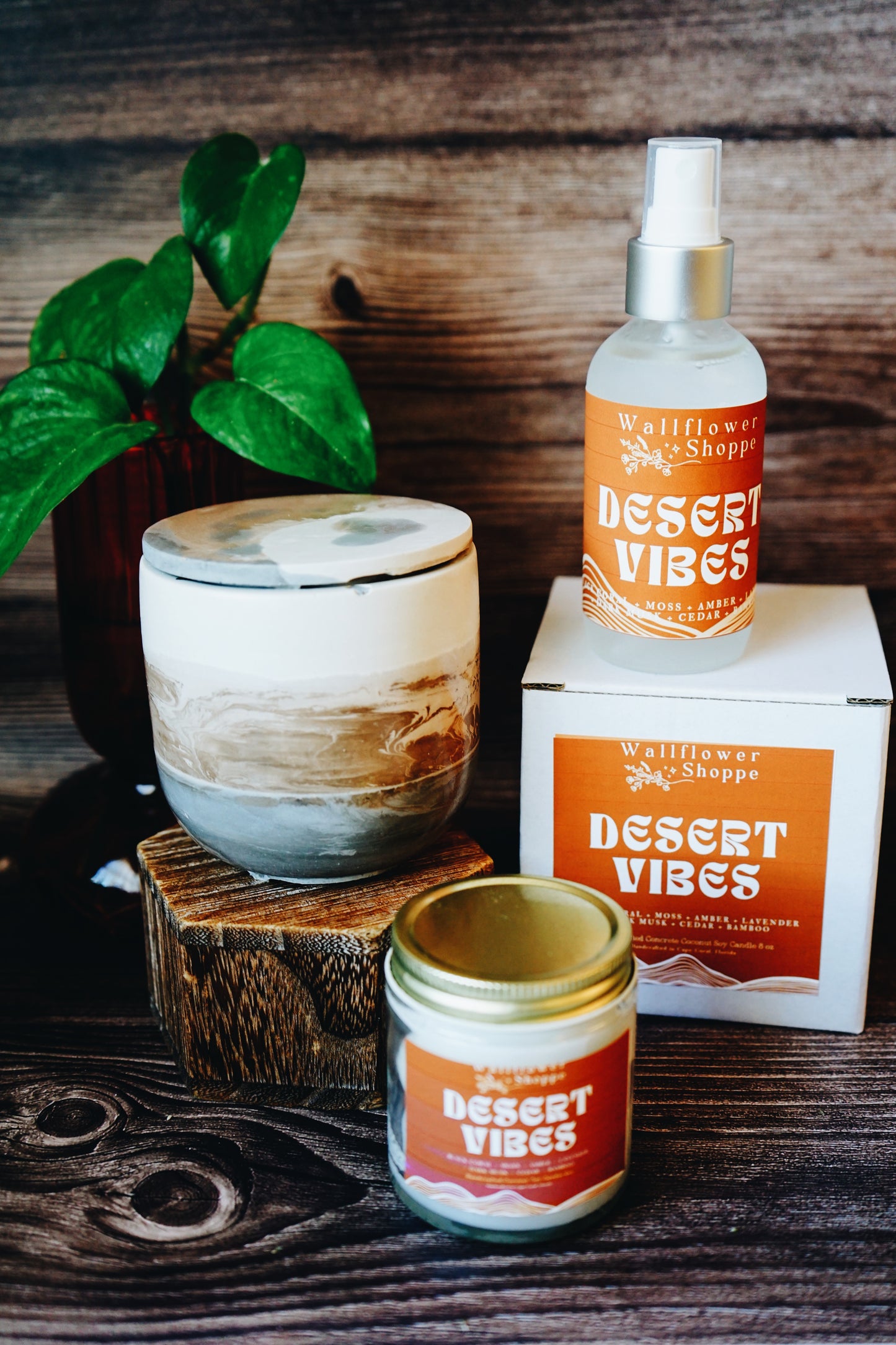Desert Vibes