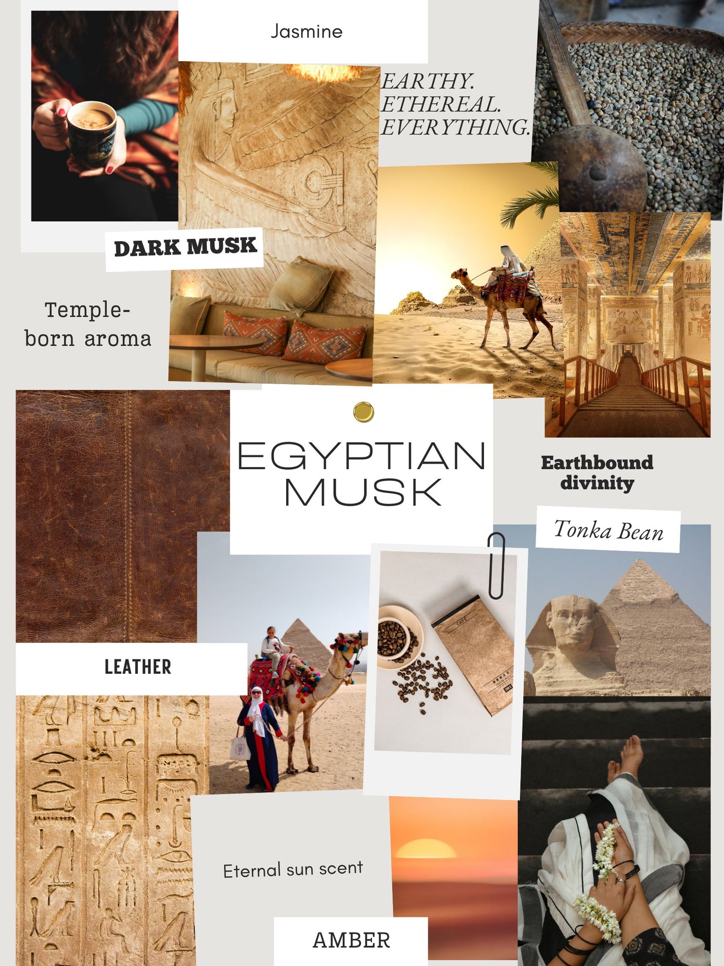 Egyptian Musk