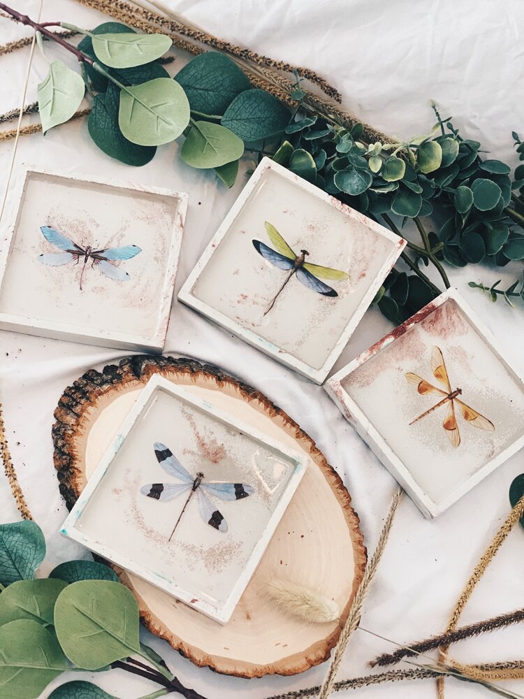 Butterfly/Dragonfly Coasters