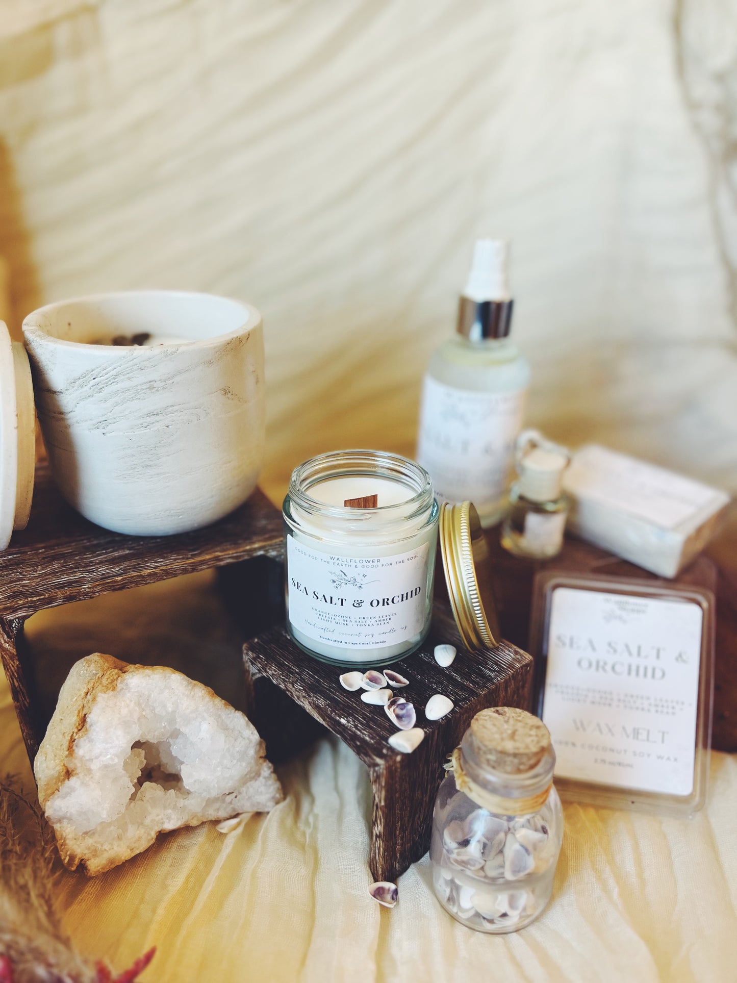 Sea Salt Orchid
