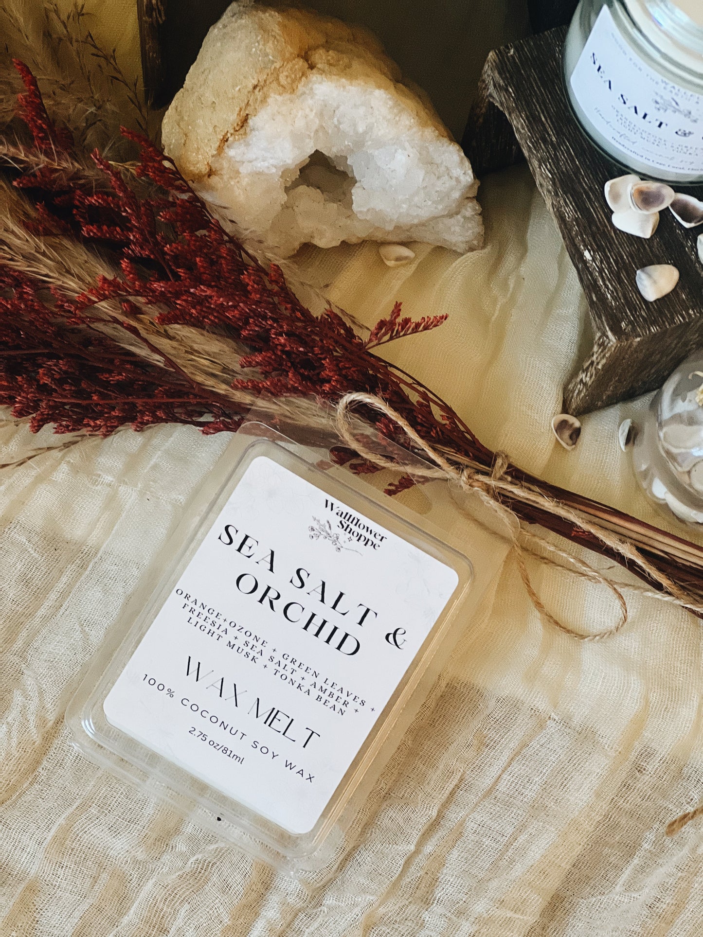 Sea Salt Orchid