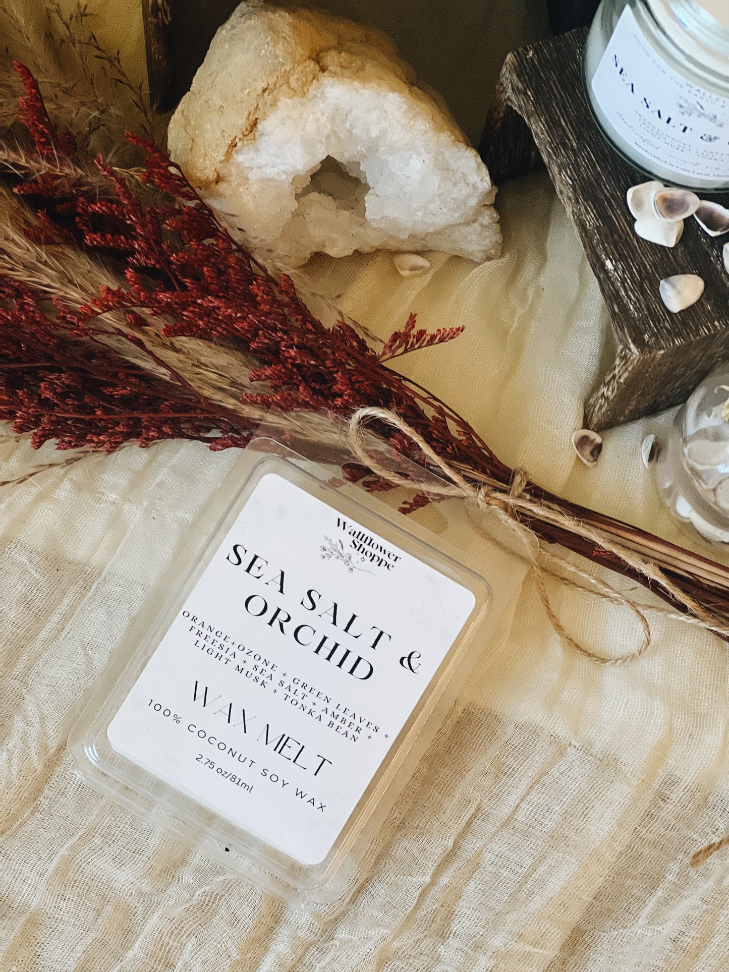 Sea Salt Orchid