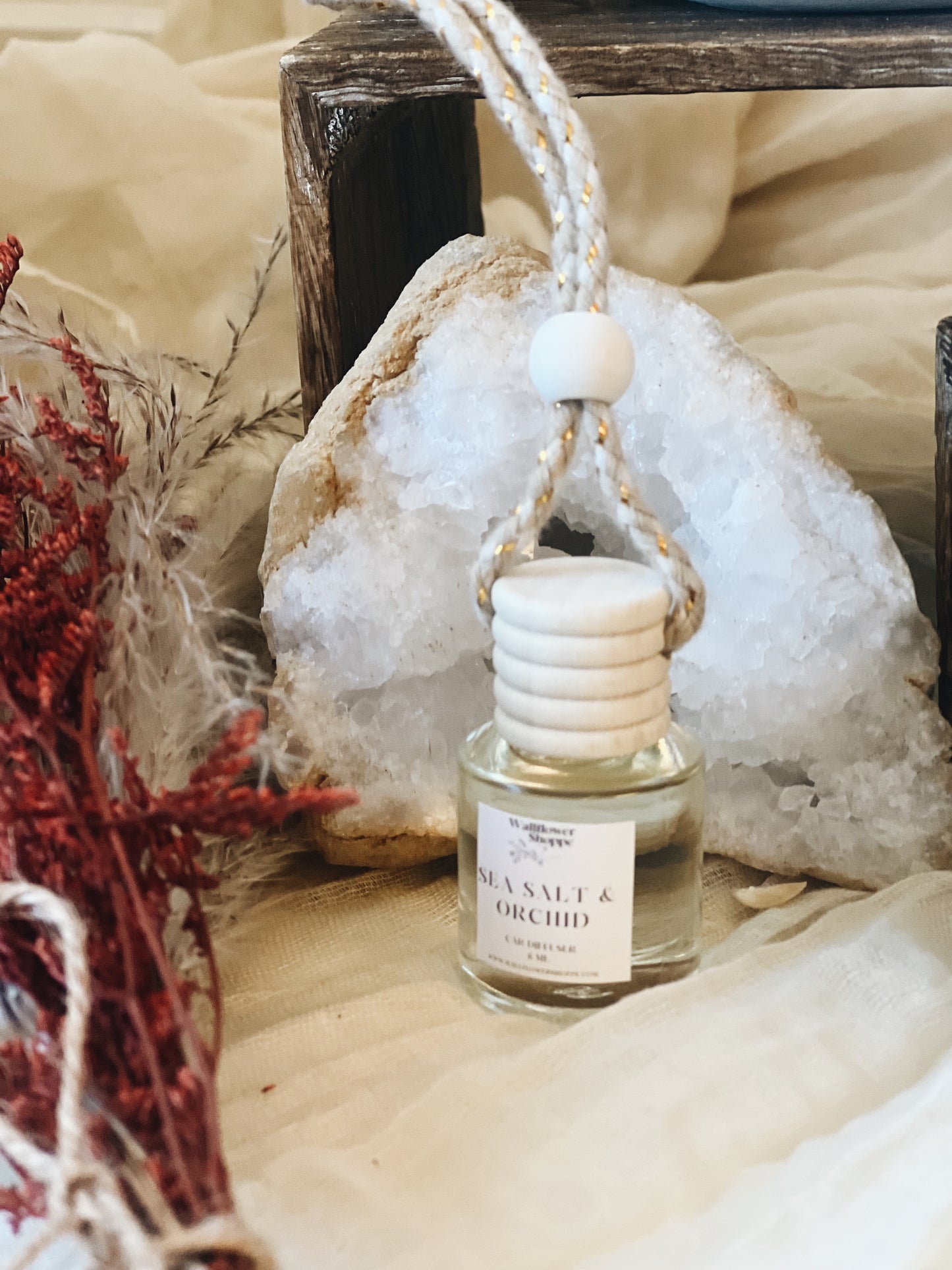 Sea Salt Orchid