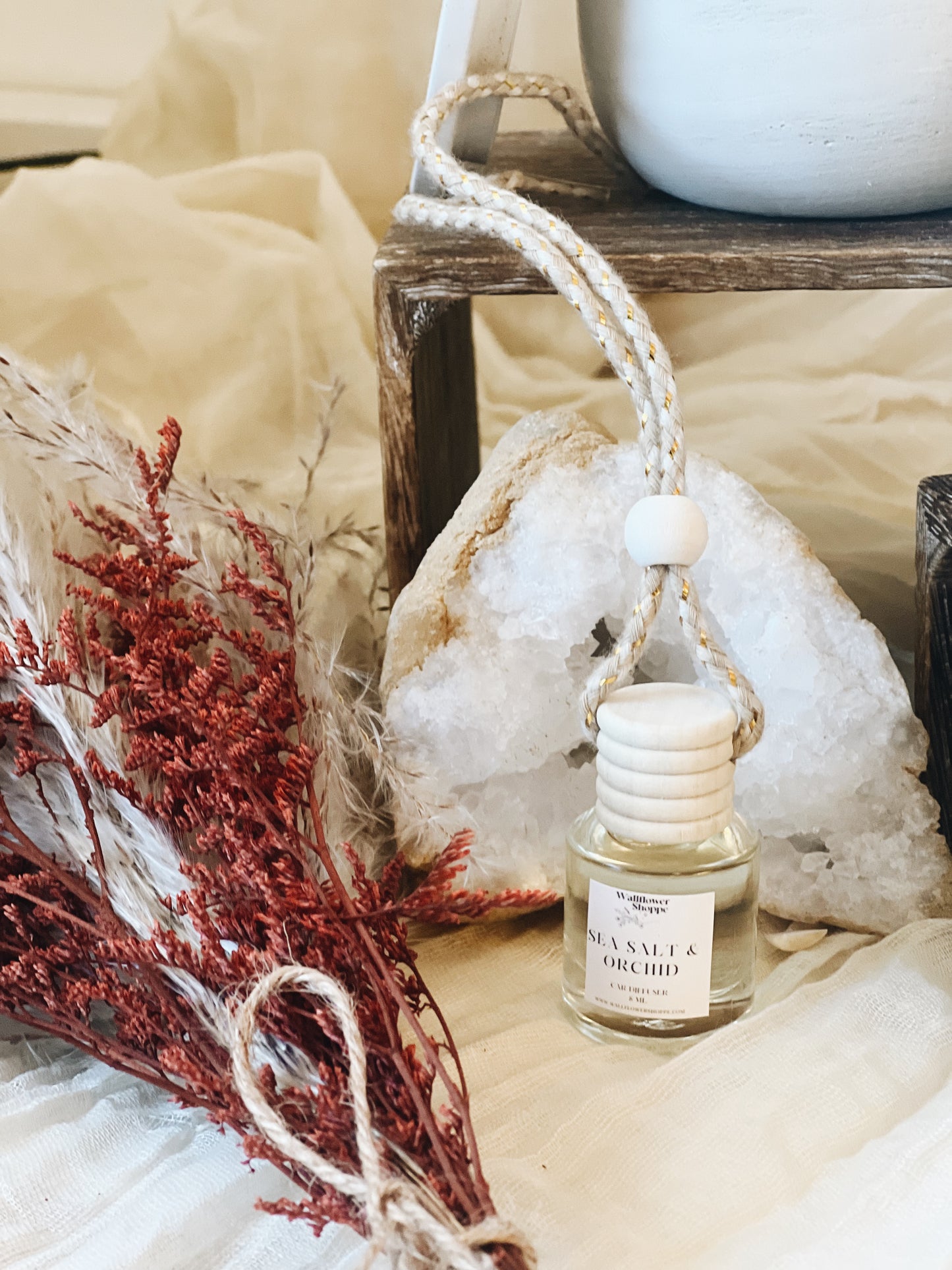 Sea Salt Orchid
