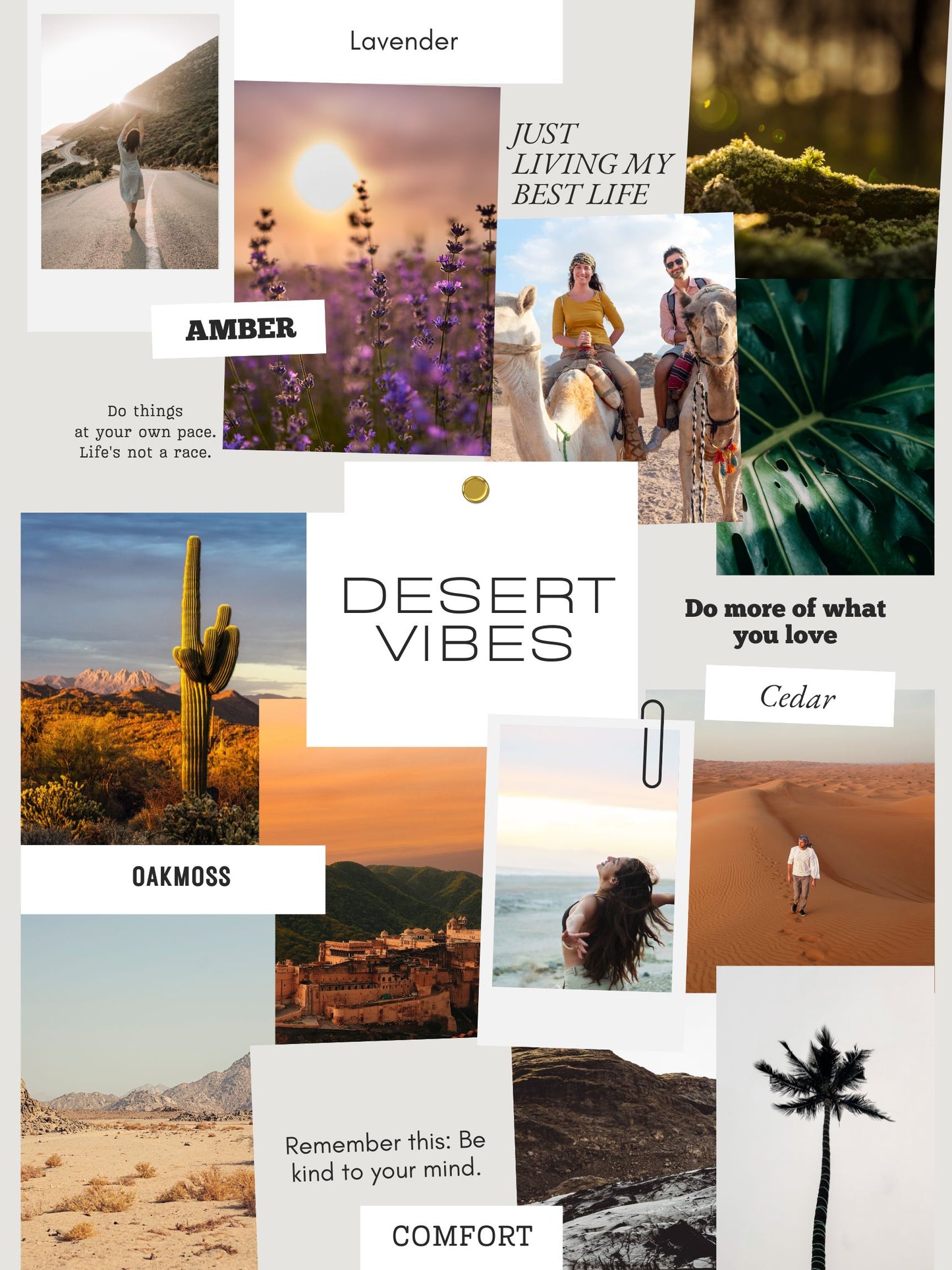 Desert Vibes