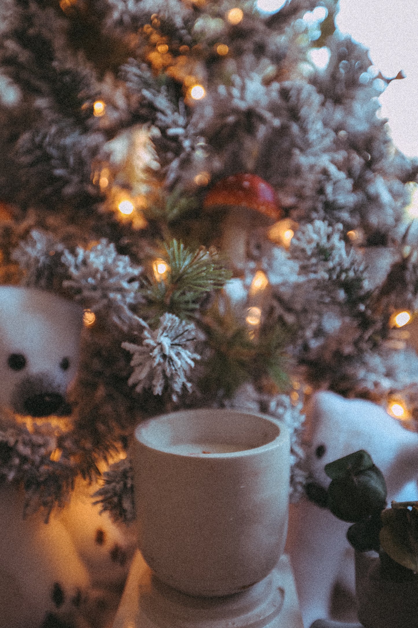 Christmas In Morocco