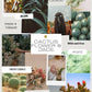 Cactus Flower & Jade