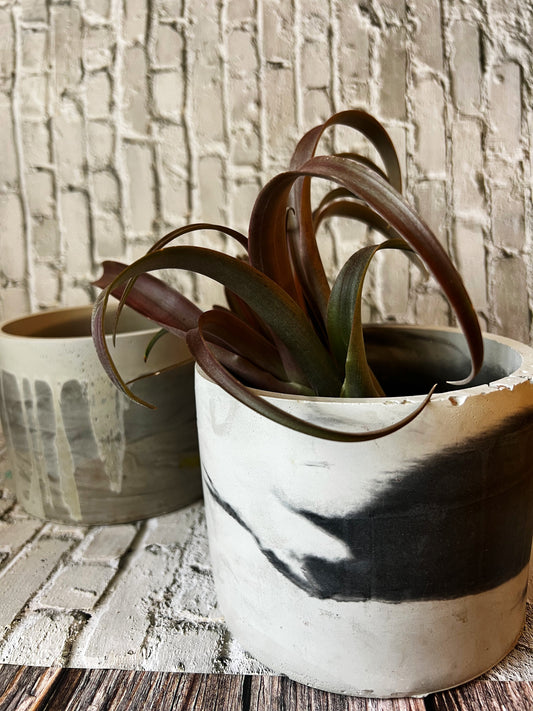 Cool summer pot