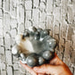 A bubble dish 3