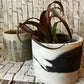 Cool summer pot