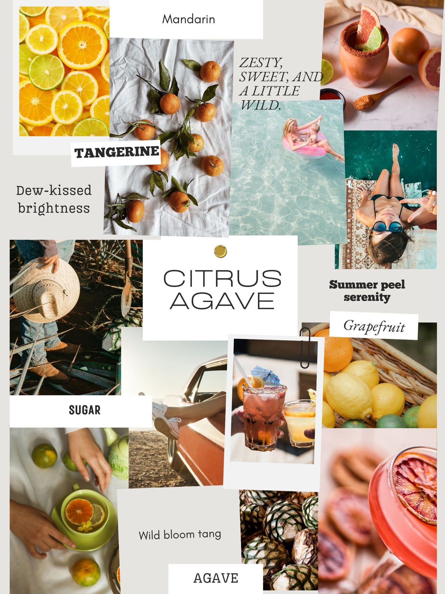 Citrus Agave