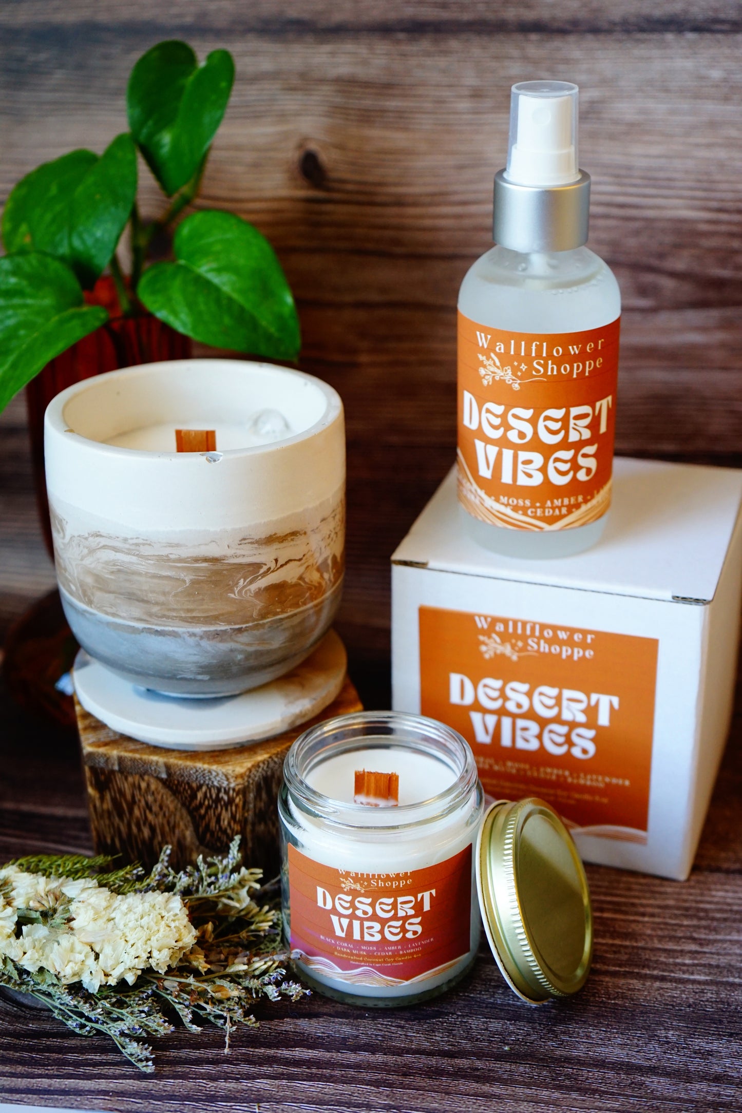 Desert Vibes