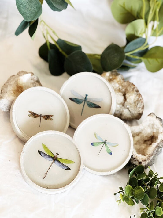 Butterfly/Dragonfly Coasters