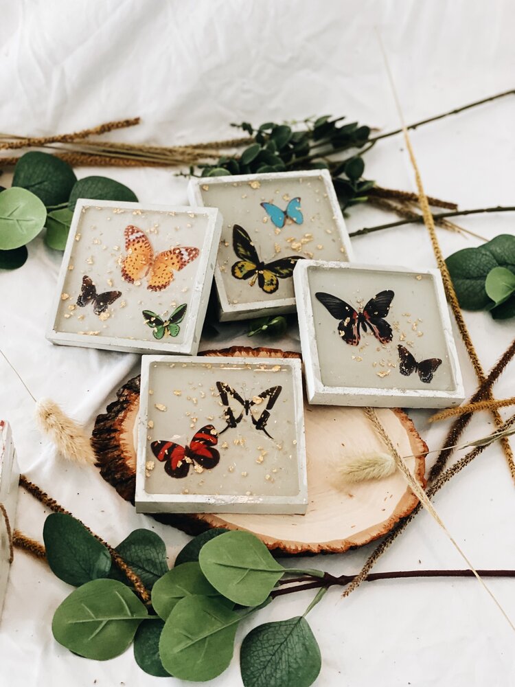 Butterfly/Dragonfly Coasters