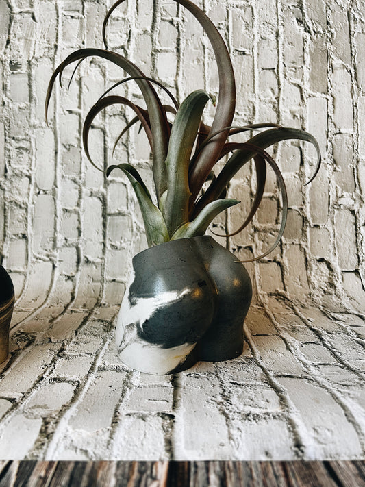 Moon Tide Tushie vase
