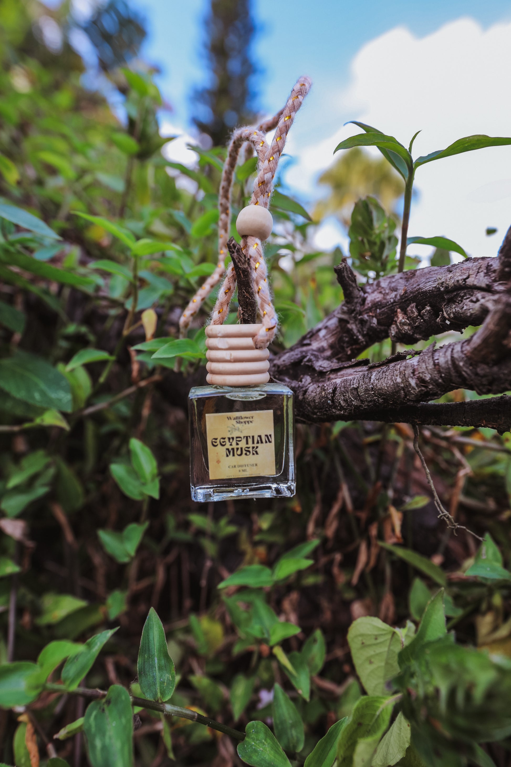 car air freshener plant Car Diffusers – The Wallflower Shoppe