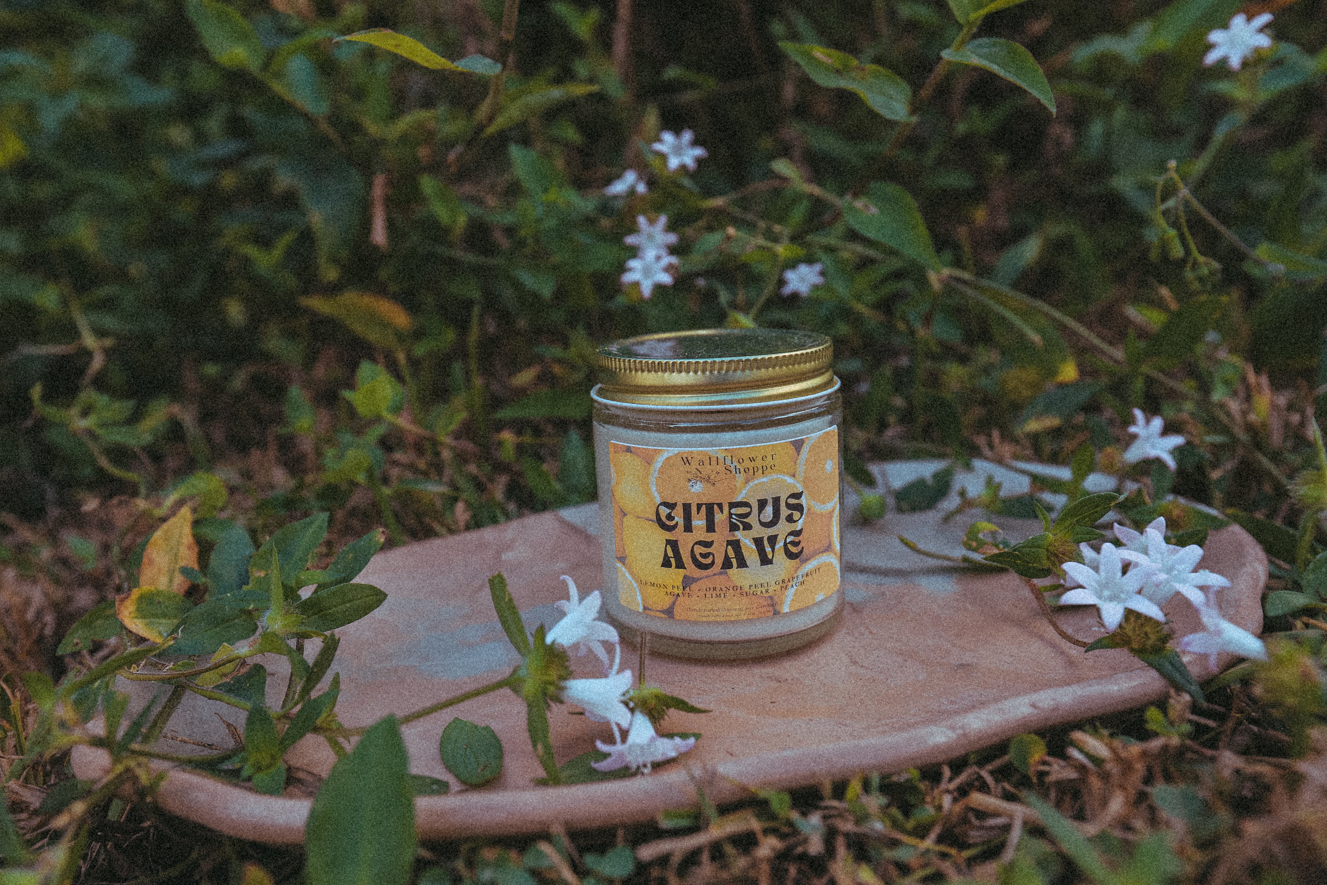Citrus Agave – The Wallflower Shoppe