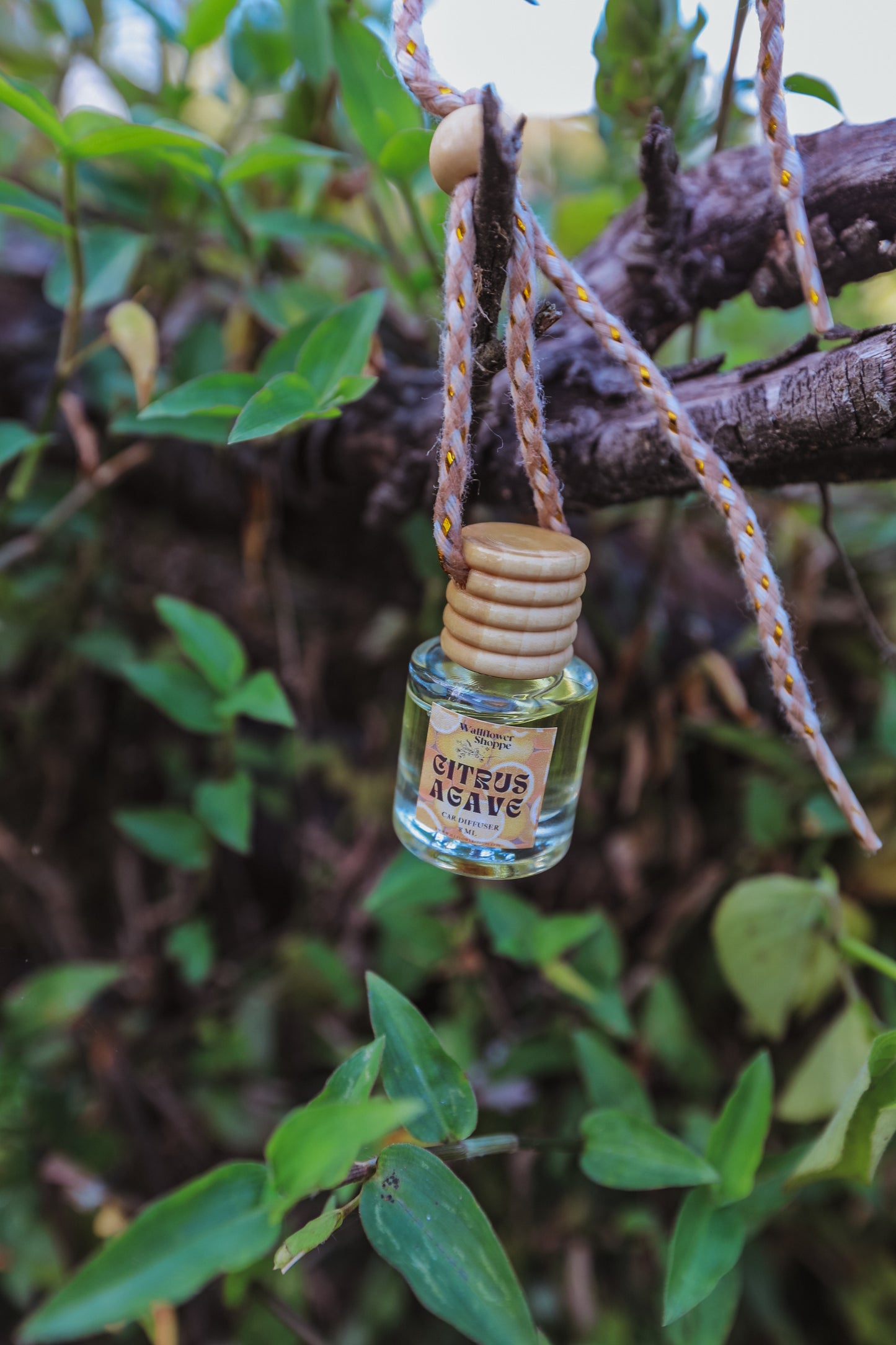 Citrus Agave