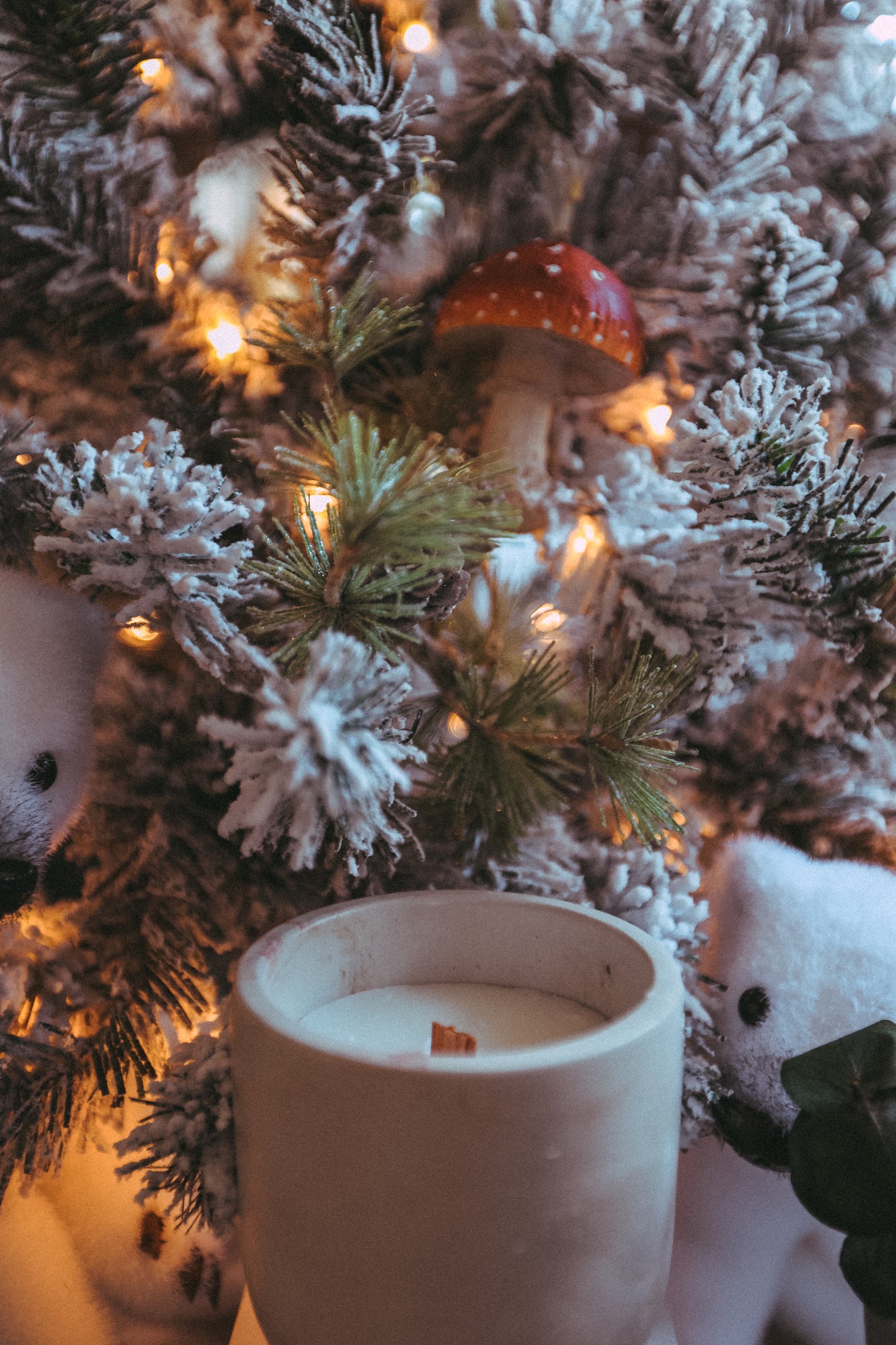 Christmas In Morocco