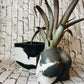 Moon Tide Tushie vase