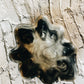 Driftwood Dream Shell dish